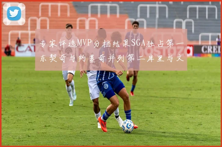 专家评选MVP分档结果SGA独占第一东契奇与约基奇并列第二库里与文班位列第四