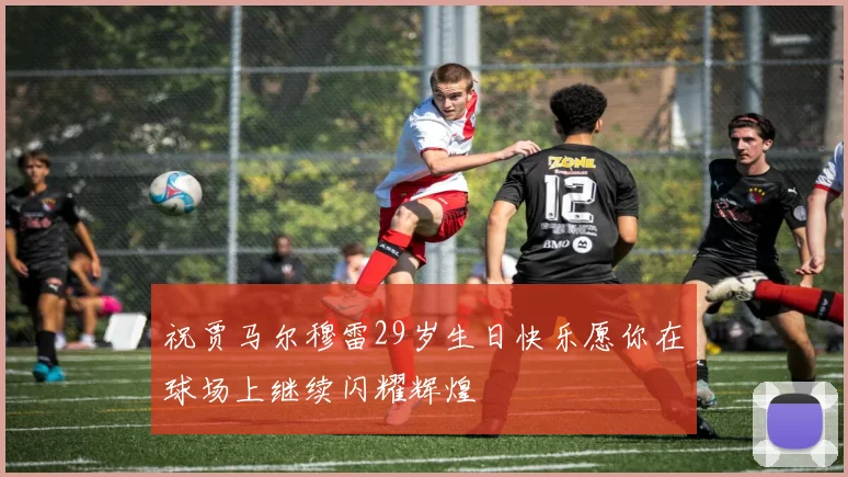 祝贾马尔穆雷29岁生日快乐愿你在球场上继续闪耀辉煌