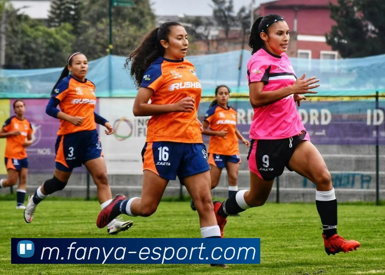 App Interface Preview